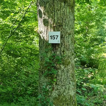 Oui-durbuy Alpehytte