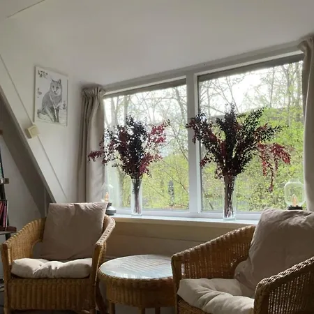 Dağ evi Oui-durbuy Durbuy